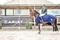 Laura Kirkham Claims Victory in Ariat Senior British Novice Championship Second Round at Ponderosa 